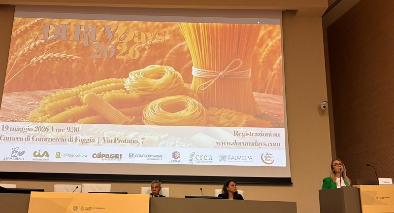Grano duro, nel 2026 produzione nazionale si attesta su 3,8 mln di tonnellate (+5%). surplus produttivo per il mercato globale