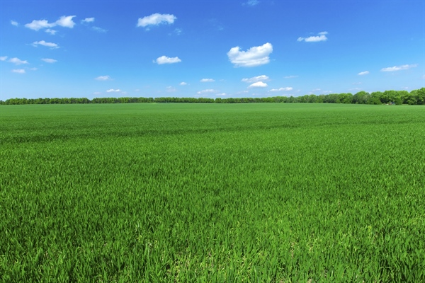 DECRETO AGRICOLTURA, ALLEANZA COOPERATIVE, "BENE LE MODIFICHE INTRODOTTE DAL PARLAMENTO"